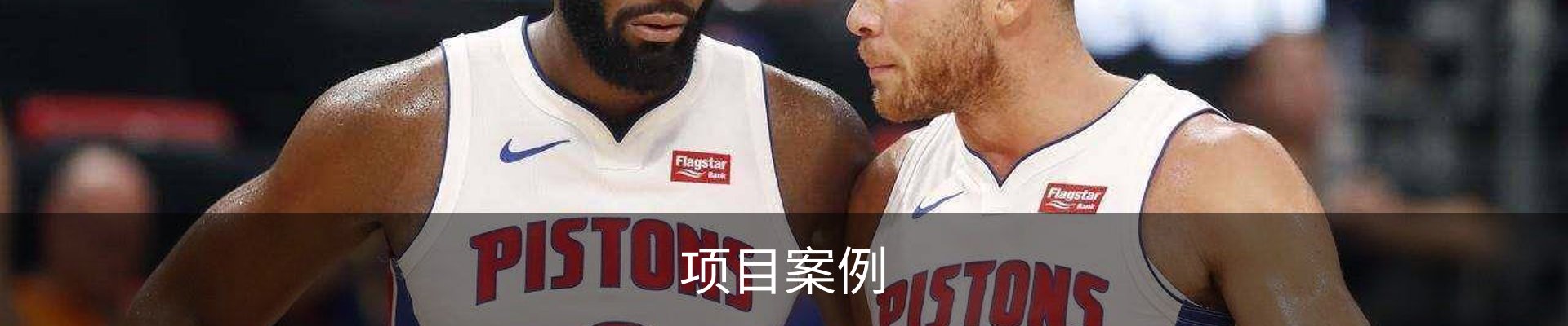 项目案例